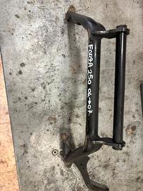 CAVALLETTO CENTRALE FORZA 250 04-07