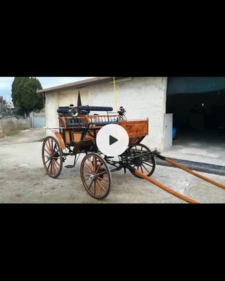 Carrozza cavallo