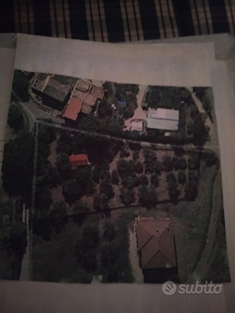 Terreno con ulivi e rimessaggio - Altro