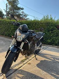 Honda Hornet 600 - 2007