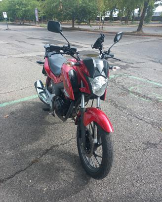 Honda CB125F Pavia