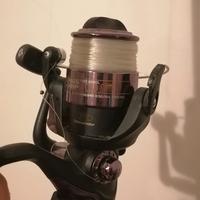 Canna da pesca 3,8mt da carp fishing con mulinello
