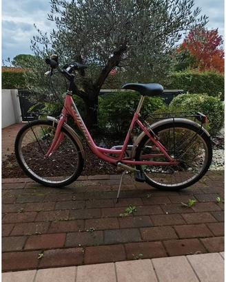 Bicicletta