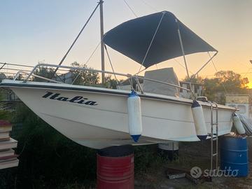 open 5 metri con motore 40 hp