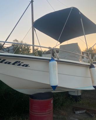 open 5 metri con motore 40 hp