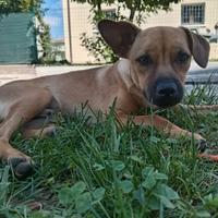 Max 5 mesi