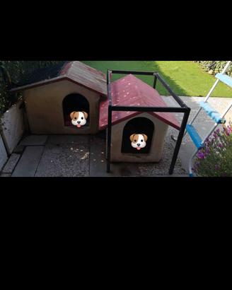 2 cucce indistruttibili € 25