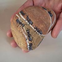 Pietra naturale con formichine disegnate a mano
