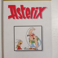 Libro Asterix 