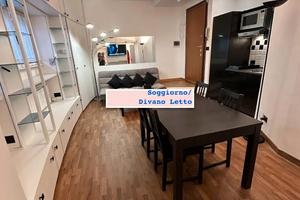 CORTINA D'AMPEZZO BILOCALE ARREDATO e RISTRUTTURAT