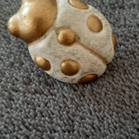 Thun spilla coccinella