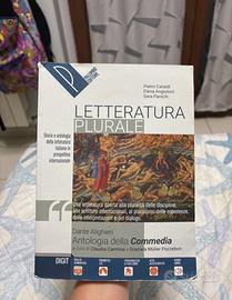 libro letteratura plurale dante alighieri