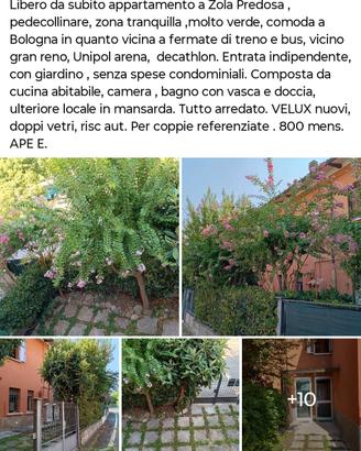 appartamento entrata indipendente a Zola predosa