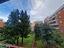 Immagine 11
