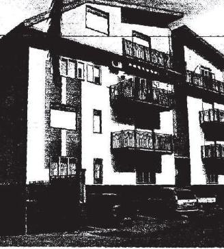 RGE 36/2006 Trib Enna