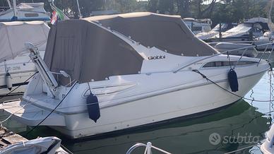 Gobbi 265 cabin diesel