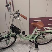 bicicletta stile vintage 