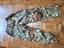 Immagine 6