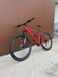 Bottecchia MTB 29”