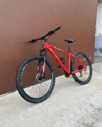 Bottecchia MTB 29”