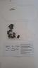 bmw-r1250gs-para-faro-a-sgancio-rapido