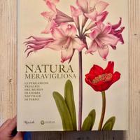 Libro natura meravigliosa – Rizzoli LIMITED