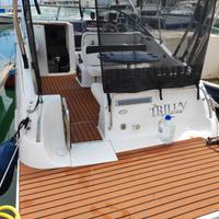 Crowline boats 268ccr