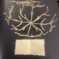 Elegante portagioielli in argento -produzione ita