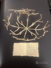 Elegante portagioielli in argento -produzione ita