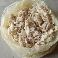 Lana da Materasso o Materassi di Lana