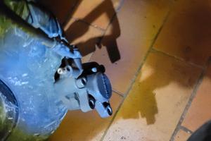 Avantreno booster mbk forcelle 26mm