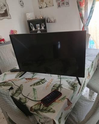tv majestic