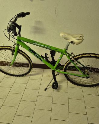 bicicletta 