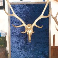 Arredamento pub e sala hobby 