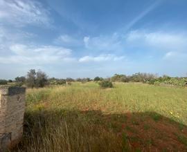 Terreno agricolo