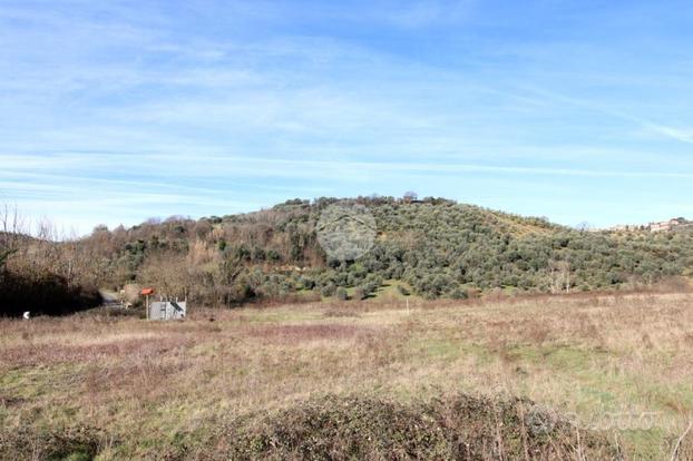 TER. AGRICOLO A MONTELIBRETTI