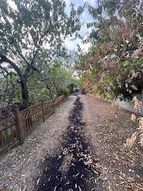 Azienda Agricola Narni [Cod. rif 3230543VCG]