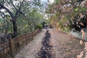 Azienda Agricola Narni [Cod. rif 3230543VCG]