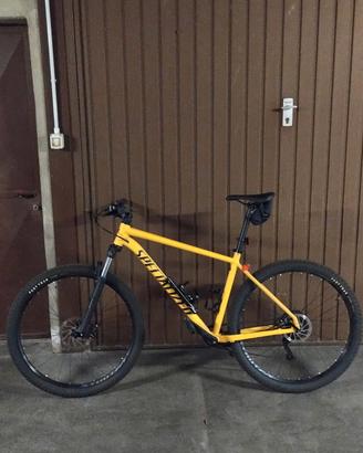Mountain bike specialized