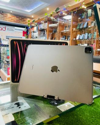 iPad Pro 12.9 6gene 1TB Wifi usato