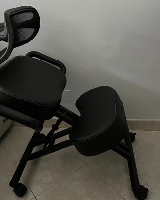 Sedia ergonomica