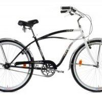 Bicicletta modello vintage