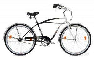 Bicicletta modello vintage