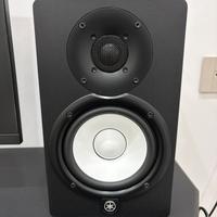 Coppia Yamaha hS5 + cavi e supporti