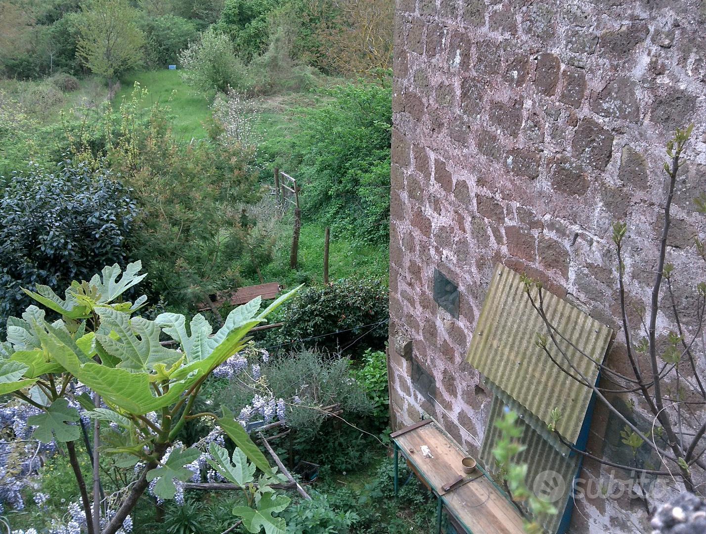 terreno con rustico in stato grezzo - Altro
