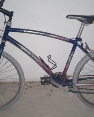bici ATALA