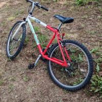 bici mtb