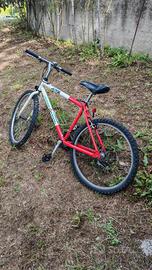 bici mtb