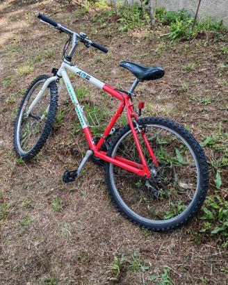 bici mtb