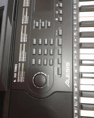 Tastiera Alesis Harmony 54 cn leggio e custodia